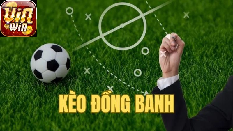 Hướng Dẫn Chi Tiết