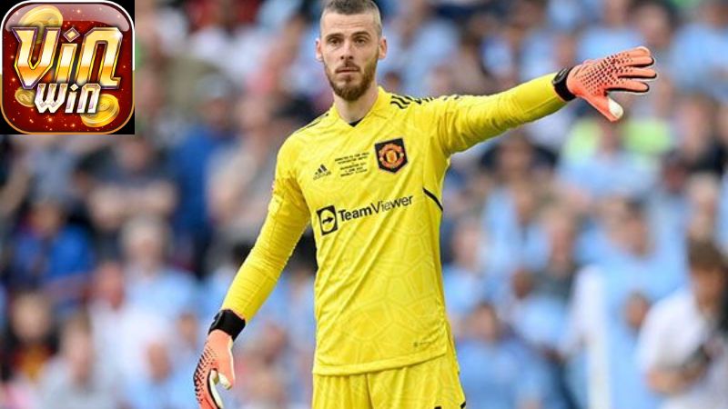 Kinh Nghiệm Soi Kèo