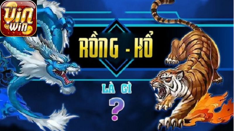 Luật Chơi Và Cách Đặt Cược