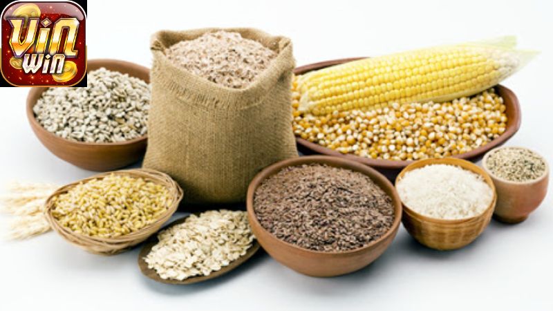 Những Sai Lầm Phổ Biến Khi Chọn Thức Ăn Cho Gà Chọi