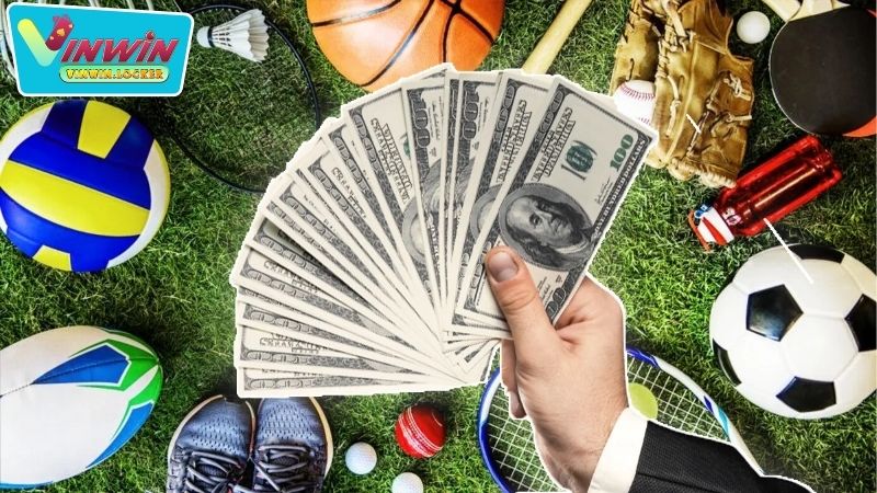 Các loại hình được cung cấp ở tại Thể Thao Vinwin